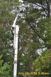 Entergy 104